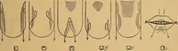 An illustration from Visible speech, the science of universal alphabets, : or Self-interpreting physiological letters, for the writing of all languages in one alphabet ; illustrated by tables, diagrams, and examples (1867)