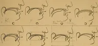 An illustration from Visible speech, the science of universal alphabets, : or Self-interpreting physiological letters, for the writing of all languages in one alphabet ; illustrated by tables, diagrams, and examples (1867)