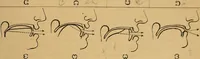 An illustration from Visible speech, the science of universal alphabets, : or Self-interpreting physiological letters, for the writing of all languages in one alphabet ; illustrated by tables, diagrams, and examples (1867)