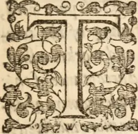 Picture 2 of 8 from God made visible in His workes, or, A treatise of the externall workes of God .. (1641), leaf 6