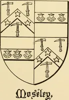 An illustration from The Visitacion of Staffordschire (1883)