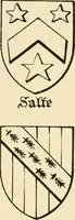 An illustration from The Visitacion of Staffordschire (1883)