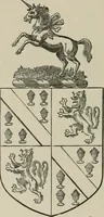 Picture 151 of 170 from The visitation of the county of Somerset in the year 1623 (1876), leaf 555