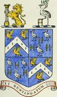 An illustration from Visitation of England and Wales (1893)