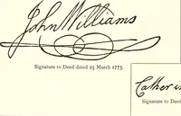 An illustration from Visitation of England and Wales (1896)