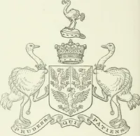 Picture 39 of 43 from Visitation of England and Wales (1893), leaf 177