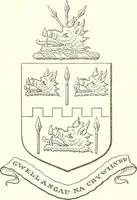 Picture 25 of 25 from Visitation of England and Wales (1893), leaf 249