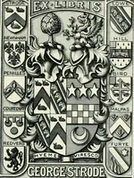 Picture 19 of 25 from Visitation of England and Wales (1893), leaf 174