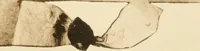 An illustration from Visitation of England and Wales (1893)
