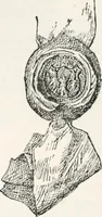 Picture 5 of 49 from Visitation of England and Wales (1893), leaf 47