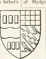 Picture 17 of 49 from Visitation of England and Wales (1893), leaf 79