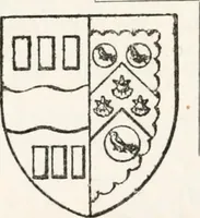 Picture 19 of 49 from Visitation of England and Wales (1893), leaf 81