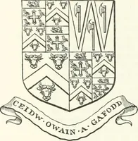 Picture 12 of 25 from Visitation of England and Wales (1893), leaf 113