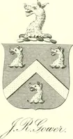 Picture 19 of 19 from Visitation of England and Wales (1893), leaf 196