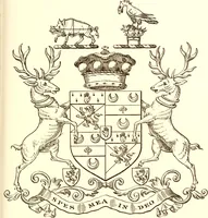An illustration from Visitation of Ireland (1897)