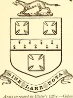 An illustration from Visitation of Ireland (1897)