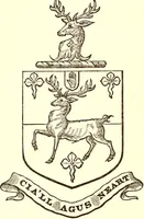 An illustration from Visitation of Ireland (1897)
