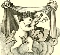 An illustration from Visitation of Ireland (1897)