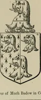 An illustration from The visitation of London : anno Domini 1633, 1634, and 1635. Made by Sr. Henry St. George, kt., Richmond herald, and deputy and marshal to Sr. Richard St. George, kt., Clarencieux king of armes (1880)