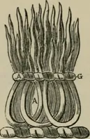 An illustration from The visitation of London : anno Domini 1633, 1634, and 1635. Made by Sr. Henry St. George, kt., Richmond herald, and deputy and marshal to Sr. Richard St. George, kt., Clarencieux king of armes (1880)