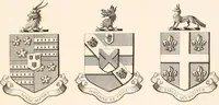 Picture 55 of 92 from A visitation of the seats and arms of the noblemen and gentlemen of Great Britain (1852), leaf 398