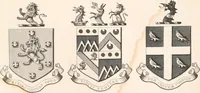 Picture 65 of 92 from A visitation of the seats and arms of the noblemen and gentlemen of Great Britain (1852), leaf 404