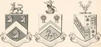 Picture 82 of 92 from A visitation of the seats and arms of the noblemen and gentlemen of Great Britain (1852), leaf 412