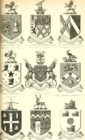 An illustration from A visitation of the seats and arms of the noblemen and gentlemen of Great Britain and Ireland (1855)