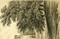 An illustration from A visitation of the seats and arms of the noblemen and gentlemen of Great Britain and Ireland (1855)