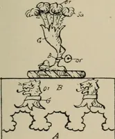 An illustration from The visitations of the county of Sussex made and taken in the years 1530, Thomas Benolte, Clarenceux king of arms; and 1633-4 by John Philipot, Somerset herald, and George Owen, York herald, for Sir John Burroughs, Garter, and Sir Richard St. George, Clarenceux (1905)