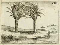 Picture 17 of 35 from Vita Beatae Mariae Virginis matris Dei, emblematibvs delineata = Vie de la bien-hevrevse Vierge Marie, mere de Diev, representée par figures emblematiques (1646), leaf 30