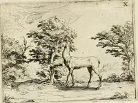 Picture 19 of 35 from Vita Beatae Mariae Virginis matris Dei, emblematibvs delineata = Vie de la bien-hevrevse Vierge Marie, mere de Diev, representée par figures emblematiques (1646), leaf 34