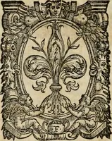 An illustration from Vita del gran Michelagnolo Bvonarrroti (1568)