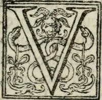 An illustration from Vita dell' inclito et santissimo Domenico patriarca del sagro ordine de predicatori (1572)