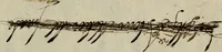 An illustration from Vita del prencipe Andrea Doria (1565)