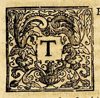 Picture 17 of 23 from Vita del servo di Dio D. Torivio Alfonso Mogrovejo (1656), leaf 223