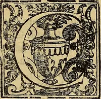 An illustration from Vita di Giacopo Robusti detto il Tintoretto, celebre pittore, cittadino venetiano (1642)