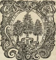 An illustration from Vita di Gio. Iacomo Medici, marchese di Marignano : valorosissimo, & inuittissimo capitan generale; nellaquale, oltra le vittorie per se stesso hauute contra il duca di Milano, e contra i Grigioni, et per altri nella Lombardia, nel Piemonte, nella Germania, nella Boemia, nell'Vngheria, nella Fiandra, e nella Toscana; sono comprese le più notabili cose nel suo tempo occorse; & molti auuertimenti politici, e modi di guerreggiare (1605)