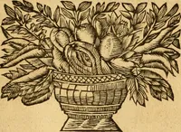An illustration from Vitae jurisconsultorum quorum in Pandectis : extant nomina conscriptae (1690)