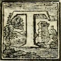 An illustration from Vita e macchine di Bartolommeo Ferracino, celebre bassanese ingegnere : colla storia del Ponte di Bassano dal medesimo rifabbrecato : illustrata da varie note riguardanti la stessa città (1754)