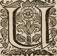 An illustration from Vitae selectorum aliquot virorum qui doctrina, dignitate, aut pietate inclaruere (1681)