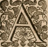 An illustration from Vitae selectorum aliquot virorum qui doctrina, dignitate, aut pietate inclaruere (1681)