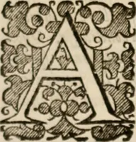 An illustration from Vitae selectorum aliquot virorum qui doctrina, dignitate, aut pietate inclaruere (1681)