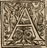 An illustration from Vitae selectorum aliquot virorum qui doctrina, dignitate, aut pietate inclaruere (1681)