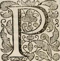 An illustration from Vitae selectorum aliquot virorum qui doctrina, dignitate, aut pietate inclaruere (1681)