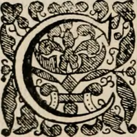 An illustration from Vitae selectorum aliquot virorum qui doctrina, dignitate, aut pietate inclaruere (1681)
