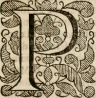 An illustration from Vitae selectorum aliquot virorum qui doctrina, dignitate, aut pietate inclaruere (1681)