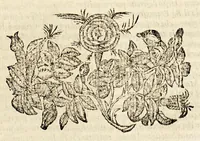 An illustration from Vita, et fatti dell' inuitissimo Imperatore Carlo Quinto, et historie uniuersali del mondo, de' suoi tempi. : Nella quale vengono comprese le cose più segnalate successe in Asia, Africa, Europa, & nel Mondo Nouo ... (1606)