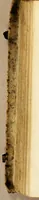 Picture 13 of 20 from Vita Ignatii Loiolae, Societatis Iesu fundatoris, : libris quinque comprehensa : in quibus initia ipsius Societatis, ad annum usq[ue] Domini 1556. explicantur. (1572), leaf 316