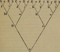 An illustration from Vital resources; (1869)